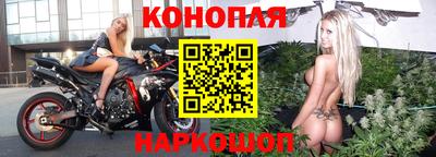 дживик Шебекино