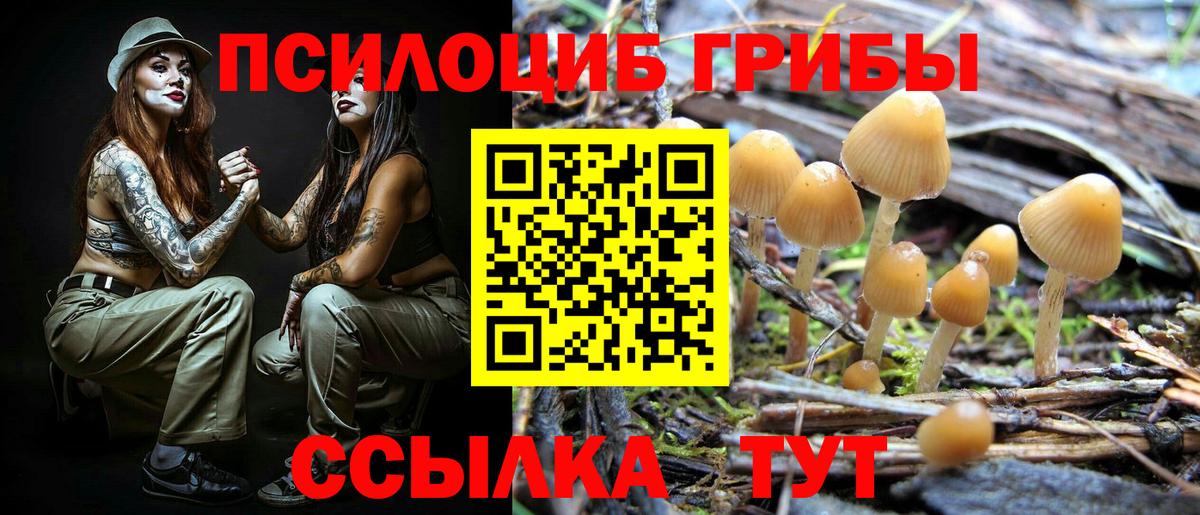 Галлюциногенные грибы ЛСД Сосновоборск